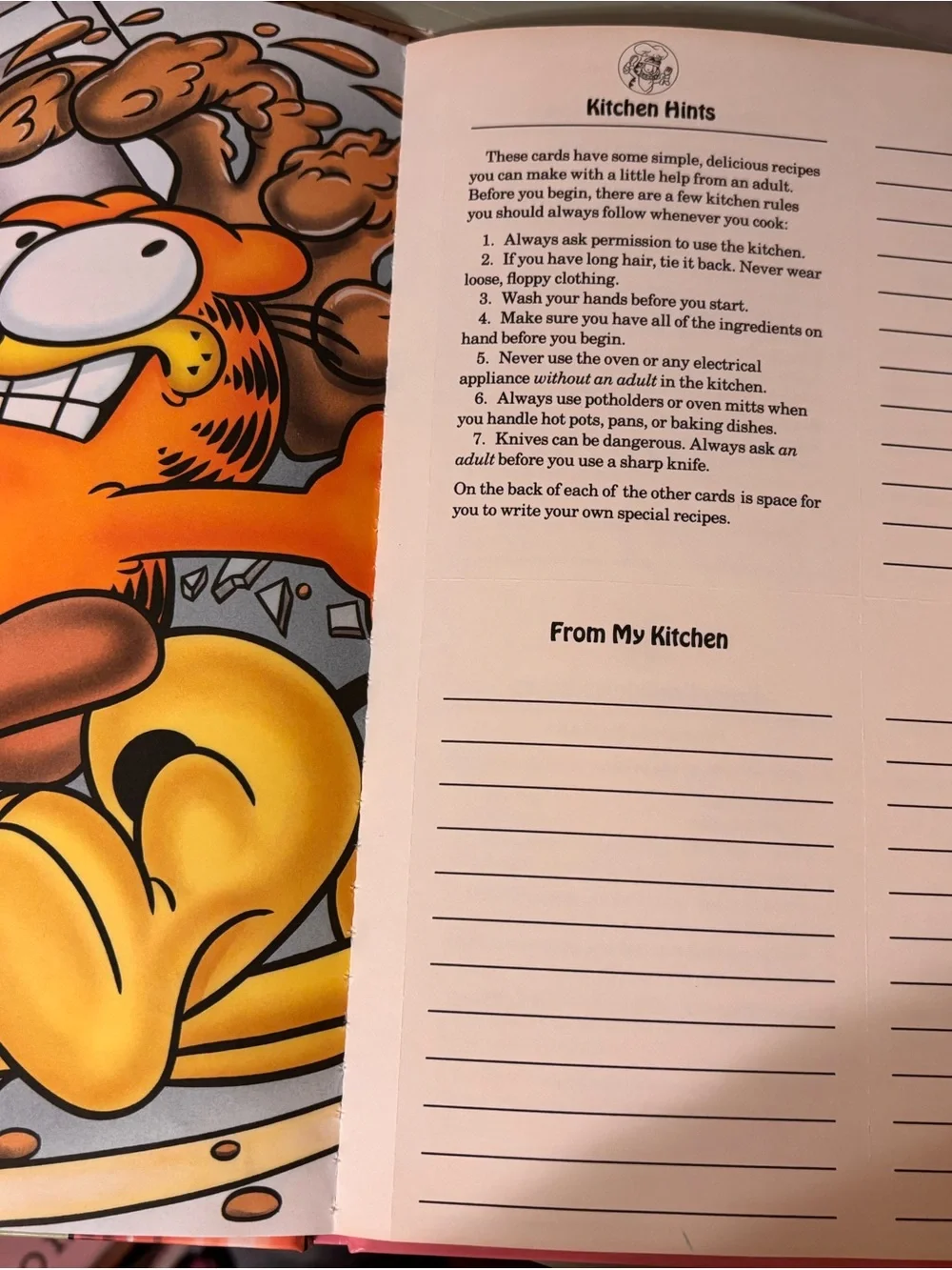 Any Cat Can Cook - Garfield Cookbook
